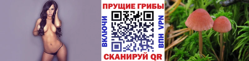 Галлюциногенные грибы Cubensis  Ак-Довурак 